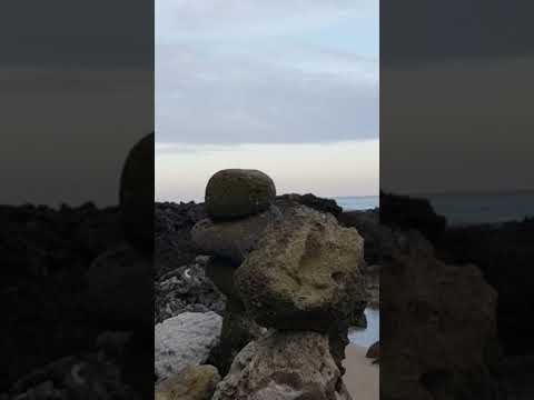 Shore jigging &