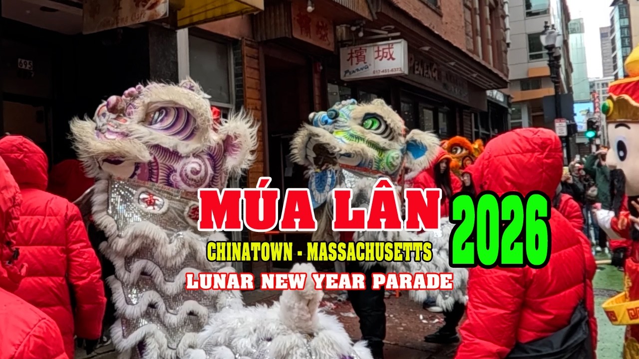 Lunar New Year parade in Boston, MA’s Chinatown. #liondance #mualan #chinatown #thanhboston