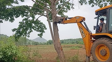 JCB vs BIG TREE - Powerful JCB Pushing Down A Big Tree #jcbvstree