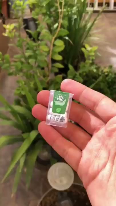 Tic Tacs Miniatura!!!