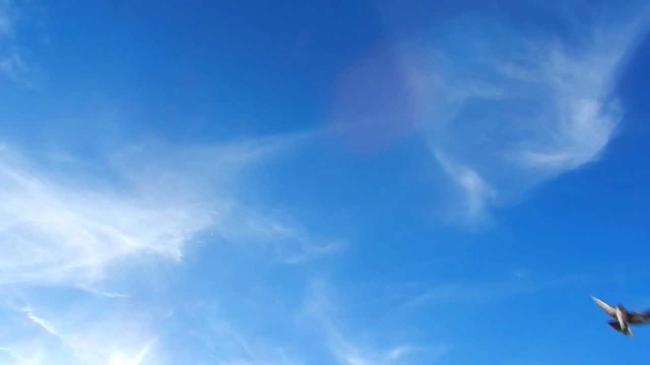 Schwalben Am Haus Youtube