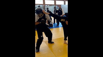 Sparring Kick/Punch Combo Series #3-Control Opponent by Changing Levels by HwaRangDo® GM Taejoon Lee
