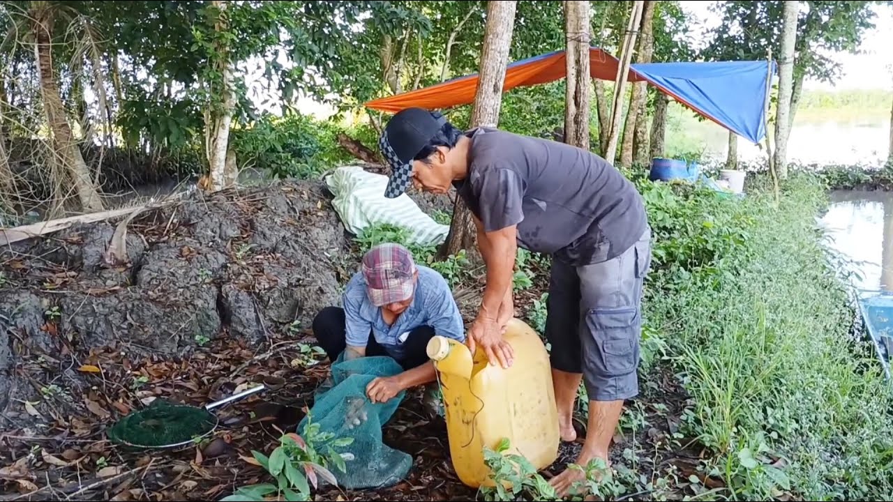 Săn bắt mùa nước nổi ll bữa nay thu hoạch cá cũng khá nhiều
