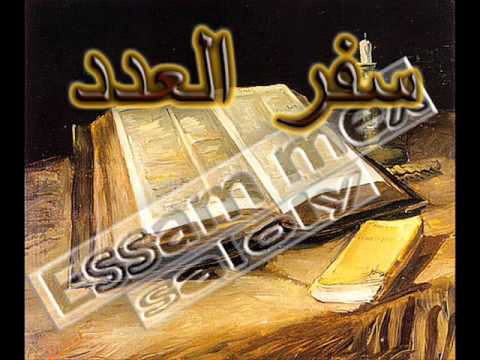 العدد أصحاح 