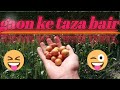 Fresh berries from the village  gaon ke taza bair  shahzeb munir vlog