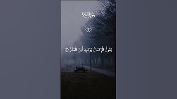 تلاوة خاشعة للشيخ ماهر المعيقلي #قرآن #قران_كريم #المصحف #راحة_نفسية #quran
