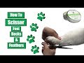 How To Scissor Feet Hocks & Feathers