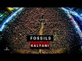 Bishakto manush live fossils at kalyanibangasanskritiaerial drone 360  view of fossils live 4k