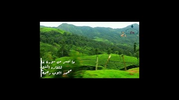 ما تيسر من سورة غافر للقارء الشيخ (محمد أيوب رحمه الله تعالى)