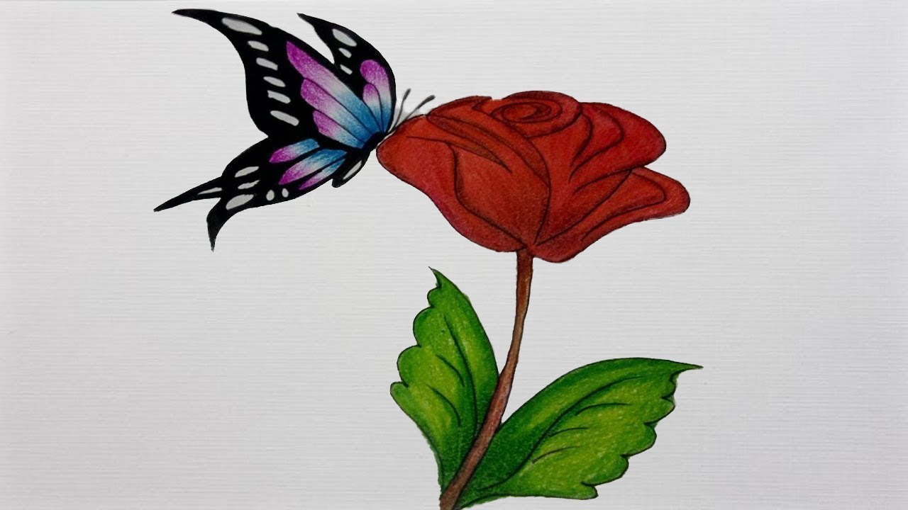 Featured image of post How To Draw A Butterfly On A Flower / In this class we will draw a beautiful butterfly fluttering around the flowers on a sunny summers day.
