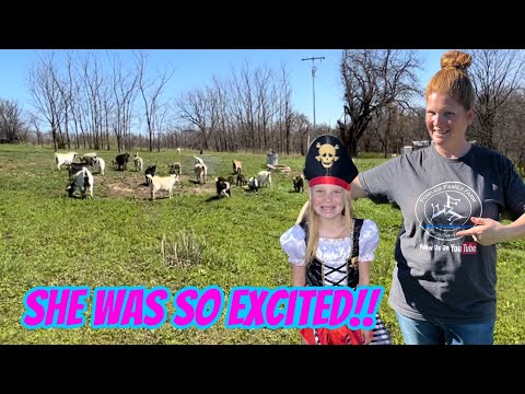 This Is My Life On The Farm With The Animals And The Kiddos.