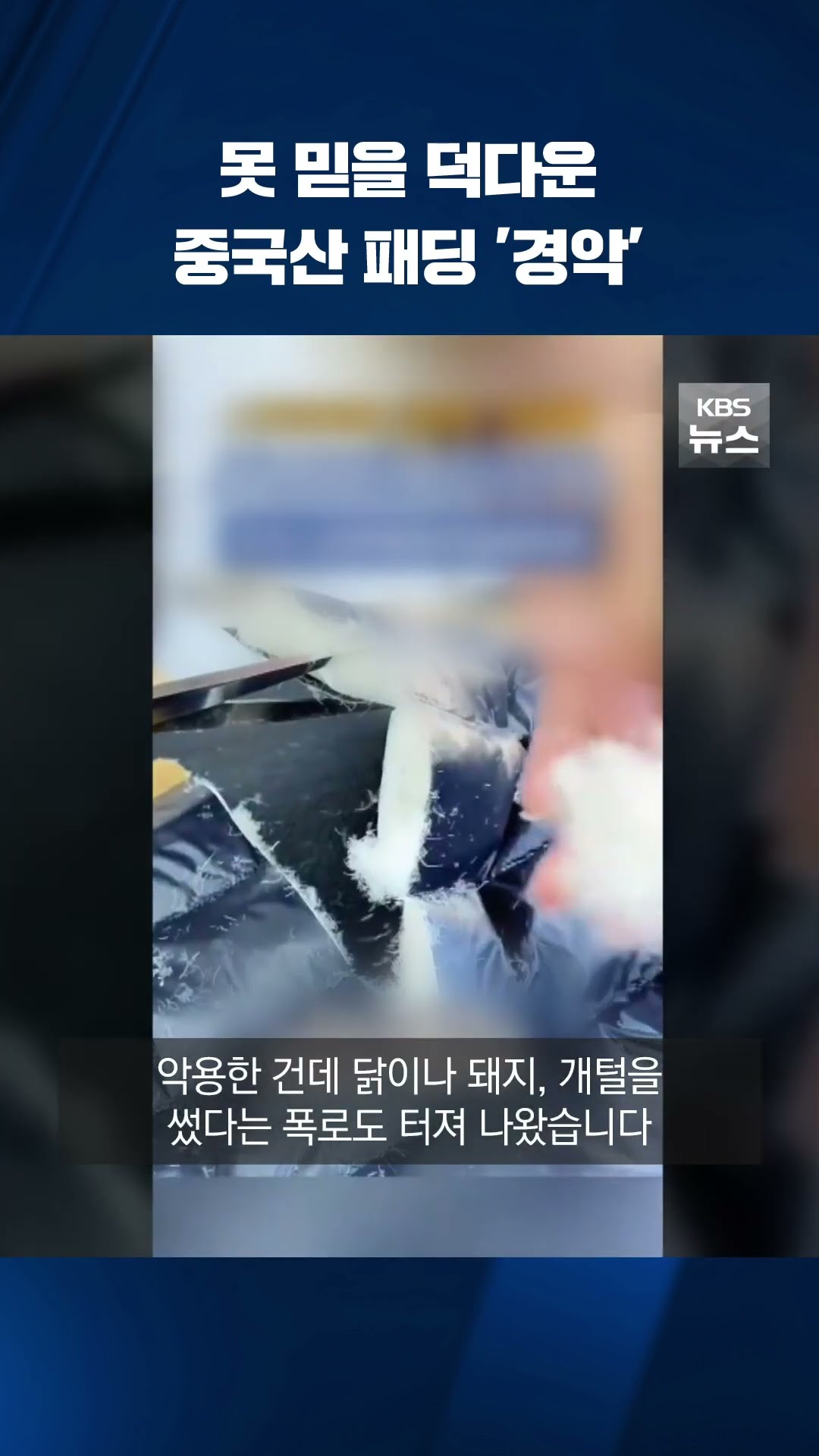 못 믿을 덕다운…중국산 패딩 '경악' #shorts / KBS