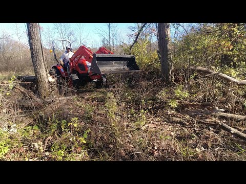 CLEARING TRAILS and TREES with the KIOTI Tractor and Chainsaw EP 1