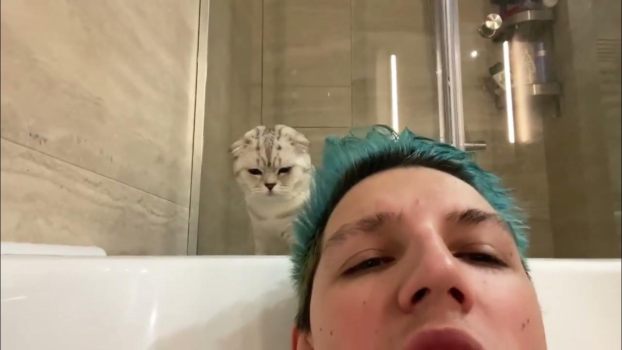 Мазелов и заверткин. Завертин кот мазеллова. Мазелов кот. Завертин кот мазеллова. Заверткин кот мазеллова.