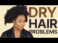 6 HIDDEN CAUSES of DRY HAIR *How To Fix It*