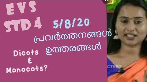 #VICTERS CHANNEL #STD 4 EVS ACTIVITIES