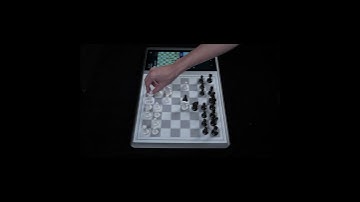 Chessnut Evo: Lights, Moves, Action!#chess #chessnut #chessnutevo #chessgame #LEDChess #AIChess