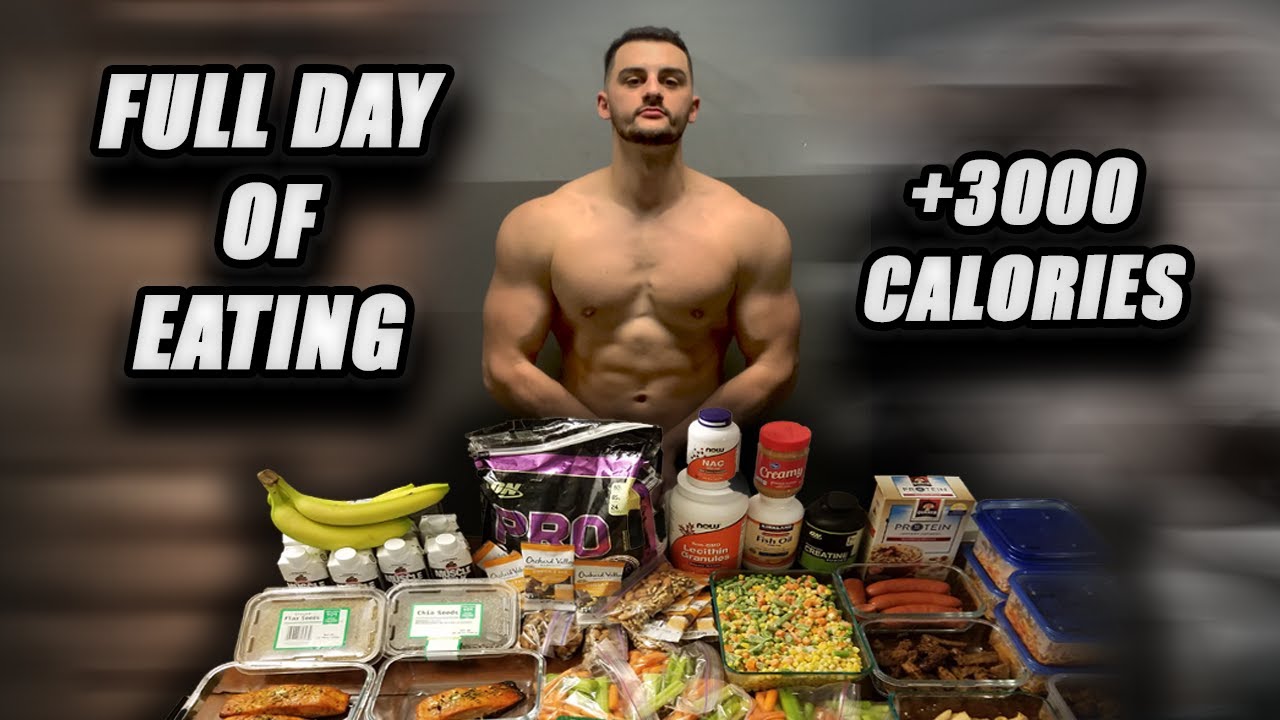 FULL DAY OF EATING WHILE BULKING (3500 CALS, 240g PROTEIN) YouTube