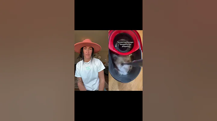 Ditch boring mops, try cinnamon magic! #fok