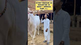 Story”Dikhawe ki Qurbani””Eid Ul adha speacial”?Part (1) Part (2) Bhi account mai hai #shorts