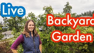 Backyard Garden Tour Live #garden