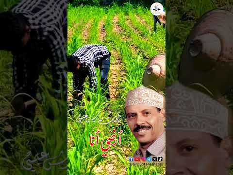 أرض نشوان وأيوب طارش: مؤسسة أيوب طارش تقدم