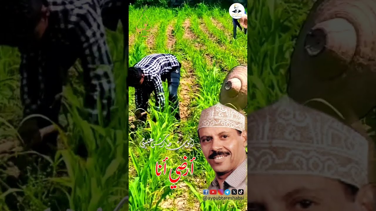 أرض نشوان وأيوب طارش: مؤسسة أيوب طارش تقدم