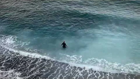Nicki Wells - Ocean