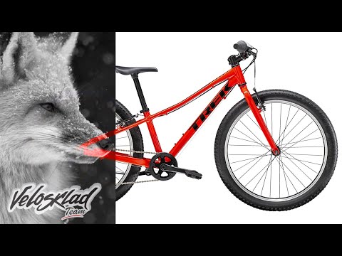 Велосипед Trek Precaliber 24 8sp Boys (2022)