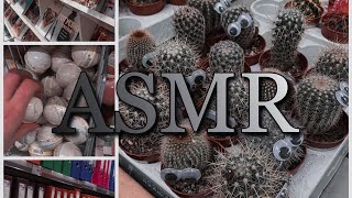 АСМР в магазине| ASMR in a supermarket🛒