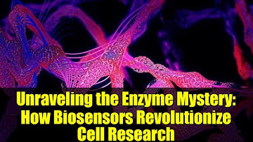 Unraveling the Enzyme Mystery: How Biosensors Revolutionize Cell Research