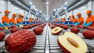 Inside a Giant Red Date (Jujube) Processing Factory: From Orchard to Supermarket (Full Process)