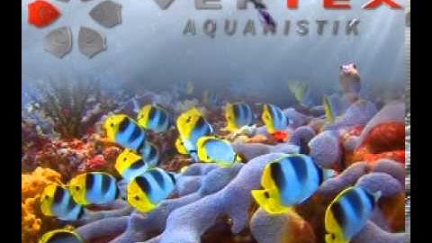 Animated Banner Sample