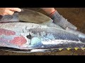 $500 25KG TUNA Fish Fillet।Fast Way of Tuna Fish Fillet by Knife।Tuna Fish Fillet Knife Techniques