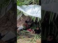 25 Tháng 7 2025 25 Tháng 7 2025