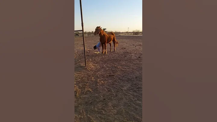 I said jump on not over