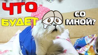 ОНА НАШЛА ЕГО! МАМА ЗОЯ ПРИЕХАЛА, ЧТОБЫ ЗАБРАТЬ КЕВИНА ОНА НАШЛА ЕГО! МАМА ЗОЯ ПРИЕХАЛА, ЧТОБЫ ЗАБРАТЬ КЕВИНА