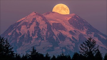 تلاوة رائعه ونادره للشيخ محمد ايوب يحاكي فيها شيخه: الشيخ زكي داغستاني