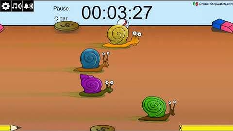 6 Minute Snail Racing Timer (fast)