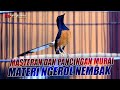 MASTERAN DAN PANCINGAN MURAI isian ngerol nembak yang pendiam langsung ikut bersuara