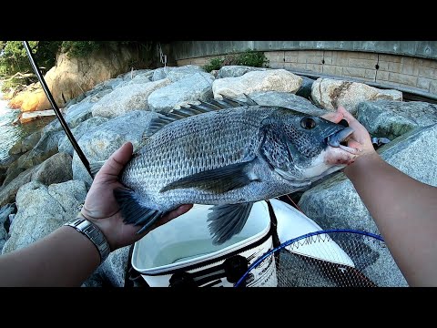 大橋青湖 釣魚秘傳集 限定500部 大橋青湖 釣魚秘傳集 限定500部 - メルカリ