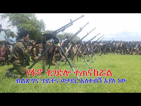 Anchor Fano News Nov 21 የፋኖ ተጋድሎ ተጠናክሯል ብልጽግና ጥይትና ወታደር አለቀብኝ እያለ ነው የቢቢሲ አስደንጋጭ ሪፖርት
