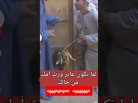 لما تكون عايز ورث أمك هتضحك ما رأيك ضحك 2    اكسبلور