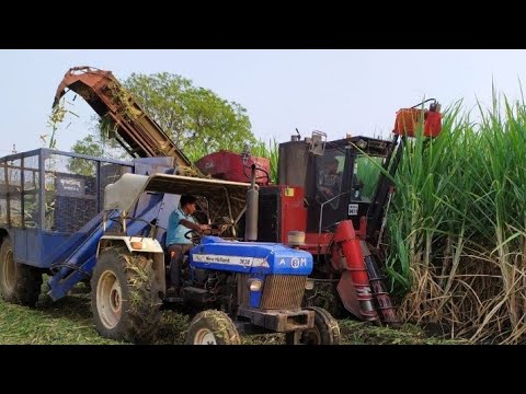 ऊसाची तोडणी मशीन | Sugarcane Cutting | Sugarcane Cutting Machine