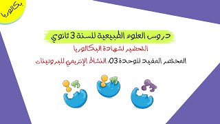 المختصر المفيد للوحدة 03: النشاط الإنزيمي للبروتينات | بكالوريا علوم تجريبية