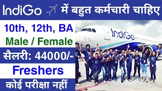 Airport में निकली भर्ती || Indigo job vacancy 2024 || airport job vacancy 2024