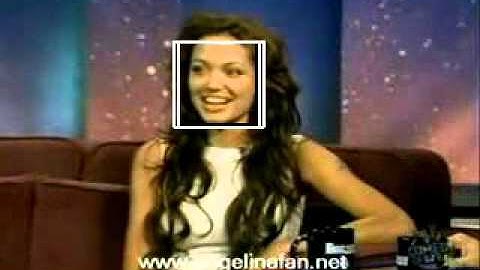 face detection demo
