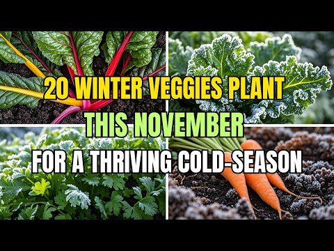20 Winter Veggies You Can Plant in November for a Thriving Cold-Season Garden RIGHT NOW!