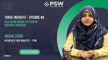 PSW - Trade Insights - Episode 86 – Filing a GD on the WeBoc system in Russian language