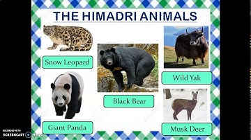 Class 4 | Social Studies | Chapter 2 | The Northern Mountains | Part 1